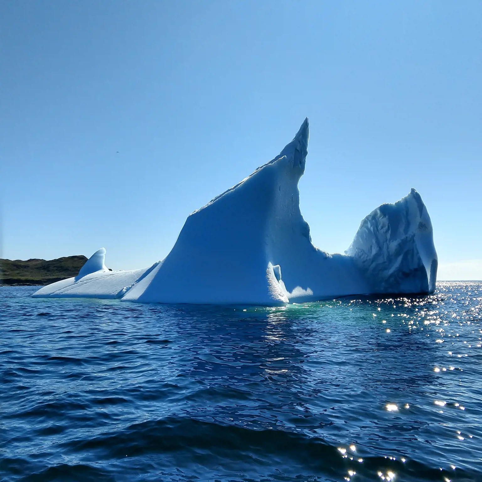 Bewundere die gigantischen Eisberge von Iceberg Alley